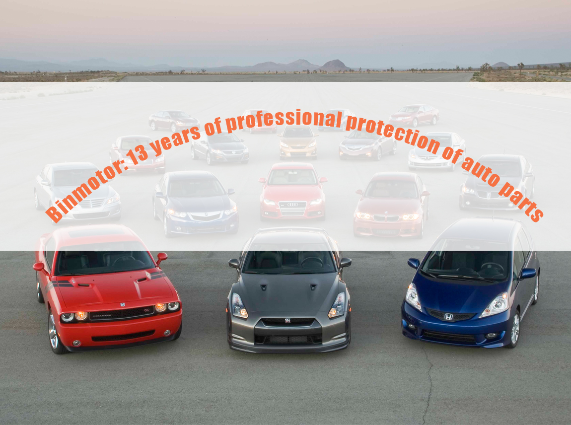 Binmotor: 13 years of professional protection of auto parts